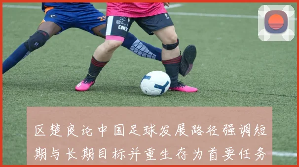 区楚良论中国足球发展路径强调短期与长期目标并重生存为首要任务