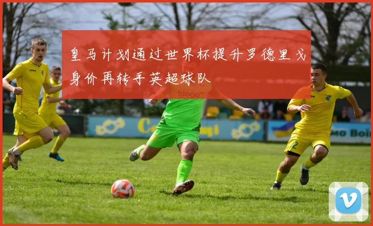 皇马计划通过世界杯提升罗德里戈身价再转手英超球队