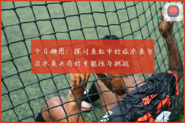 今日趣图：探讨鱼缸中的咸水鱼与淡水鱼共存的可能性与挑战