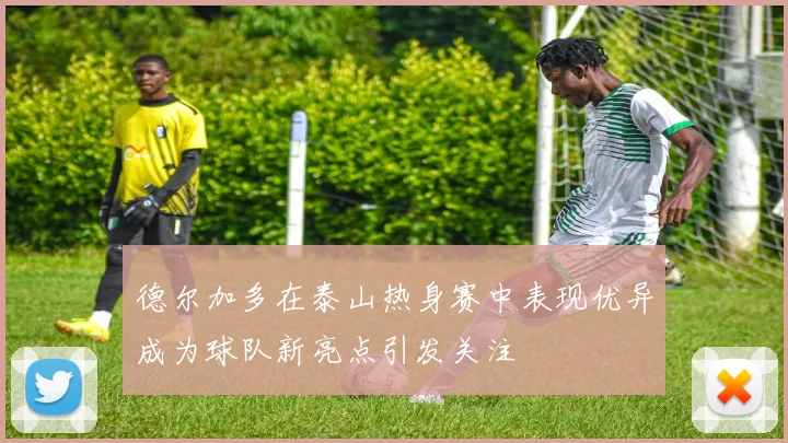 德尔加多在泰山热身赛中表现优异成为球队新亮点引发关注