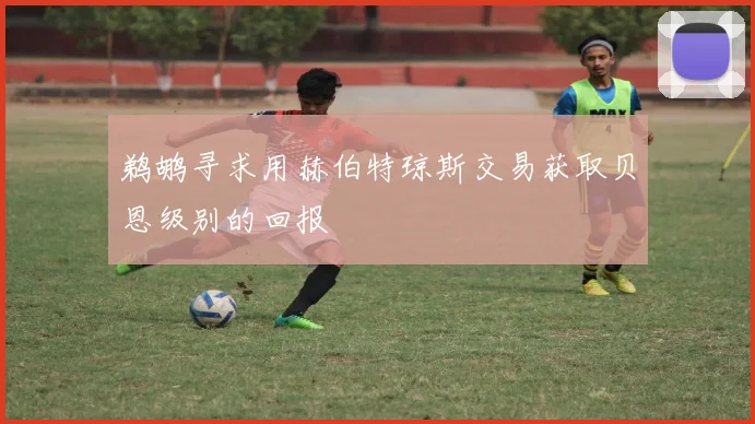 鹈鹕寻求用赫伯特琼斯交易获取贝恩级别的回报